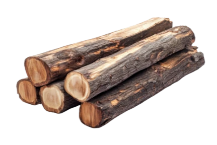 Water-resistant teak wood used in Avinsaa toys – strong, smooth, and perfect for sensory-rich learning.